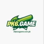 Pk6 Game